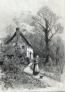 Primeiras Flores, de &39;Leisure Hour&39;, 1888 de English School