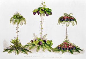 Primeiro Prêmio para Decoração de Mesa, Royal Horticultural Society, 1851 de English School