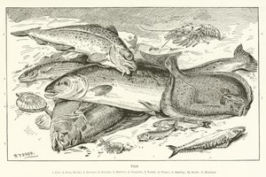 Peixe