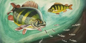 Peixe de English School