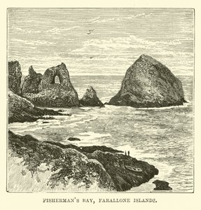 Fishermans Bay, Ilhas Farallone de English School