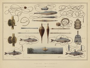 Implementos de Pesca (lito a cores) de English School