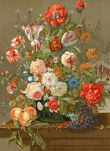 Exposição floral