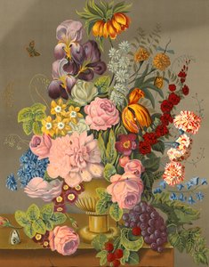 Exposição floral