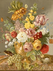 Exposição floral