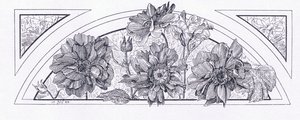 Desenhos de flores, da revista de arte de 1893, Cassell and Company, 1893 de English School