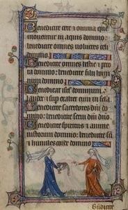 Folio 75v Ilustração das 