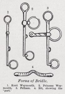 Formas de brida (litho) de English School