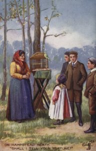 Cartomante em Hampstead Heath de English School