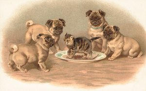 Quatro, pug, cachorros, sentando, ao redor, um, gatinho, ligado, um, prato