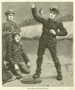 Fred a puxar a truta-espada (gravura) de English School