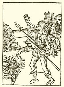 De Alexander Barclays Navio dos Insensatos, 1509 de English School