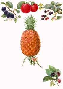 frutas de English School
