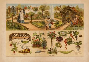 Jardim (litografia a cores) de English School