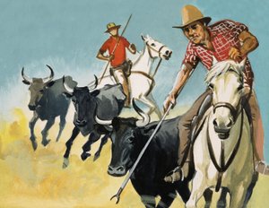 Gardianos da Camarga de English School