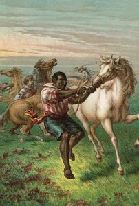 Troopers de Garibaldi quebrando cavalos selvagens de English School