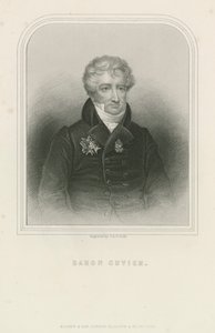 Georges Cuvier, naturalista e zoólogo francês (gravura) de English School
