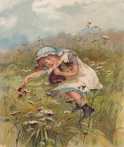 Rapariga e um gato a dormir num campo (cromolitho) de English School