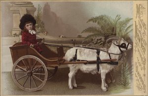 Rapariga num carrinho de cabras, cartão de Boas Festas de Ano Novo (chromolitho) de English School
