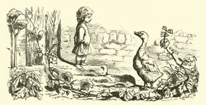 Goosey, goosey gander de English School