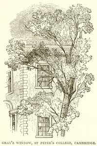 Janela de cinzas, faculdade de St Peters, Cambridge de English School