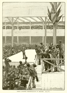 Grande manifestação unionista em Belfast, 1890 de English School