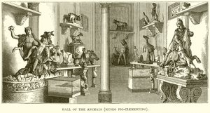 Salão dos Animais (Museo Pio-Clemention) de English School