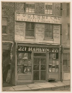 Hamlyns Zoological Trading, 221 St Georges Street, Docas de Londres (wc no papel) de English School