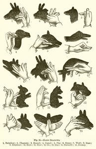 Sombras da mão