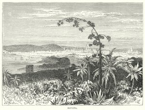 Havana (gravura) de English School