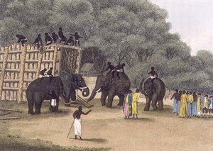 Hindoo Elephant Trap, pub. por Edward Orme de English School