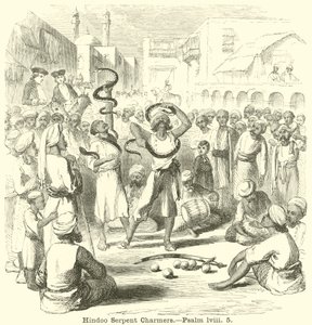 Encantadores de Serpentes Hindoo, Salmo, lviii, 5 de English School