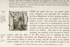 Historiated D inicial, de um livro sobre British Cotton Manufacturing de English School