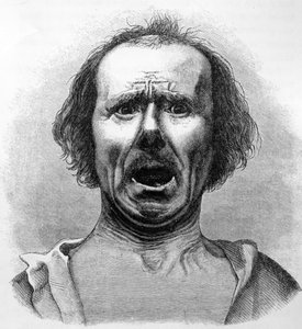 Horror and Agony, copiado de uma fotografia do Dr. Duchenne, ilustração de "A Expressão das Emoções no Homem e Animais", de Charles Darwin, publicado em 1872. de English School