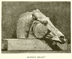 Cabeça de cavalos de English School