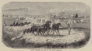 Cavalos a pisar o milho na Campagna romana (gravura) de English School