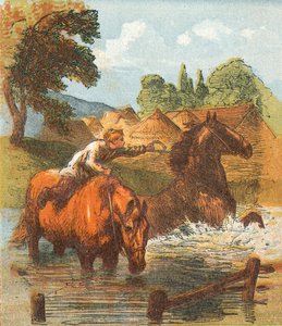 Cavalos bebendo em uma lagoa de English School