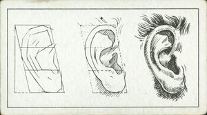 Como desenhar: A orelha (litografia) de English School