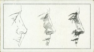 Como desenhar: O nariz (litografia) de English School