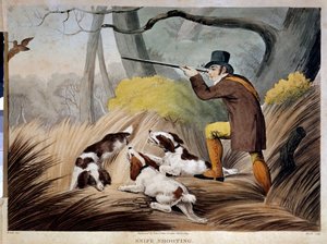 A caçar um bico em Inglaterra. Gravura aquarelada do século XIX. Gien, museu da caça. de English School