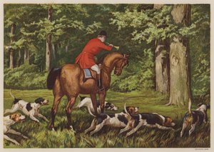 Caça com cães de caça (cor litho) de English School