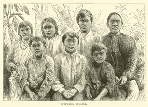 Índios de Hypurina de English School
