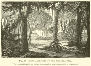 Paisagem Ideal das Medidas de Carvão de English School