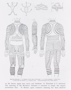 Tatuagem Igorrote, de &39;The History of Mankind&39;, Vol.1, do Prof. Friedrich Ratzel, 1896 de English School