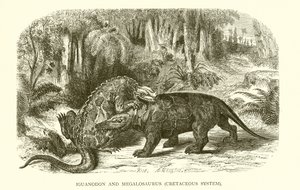 Iguanodon e Megalossauro, Sistema Cretáceo de English School