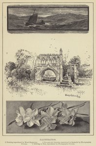 Ilustração (gravura) de English School