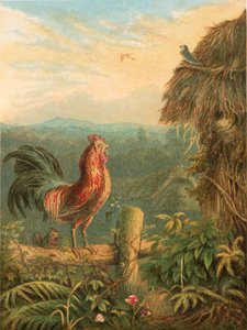 Ilustração para elegia de Gray de English School