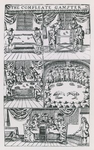 Ilustrações do Gamba Completo de English School