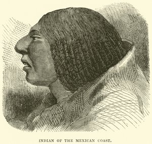 Indiano da costa mexicana de English School