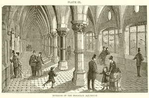 Interior do aquário de Brighton de English School